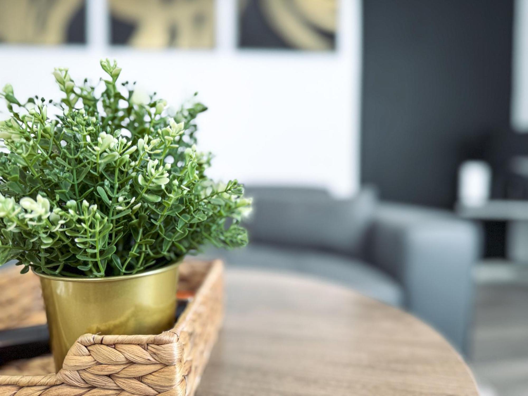 The Seven Suites Liverpool Luaran gambar
